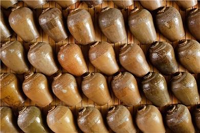 《命运2》官方支持“拯救新光行动” 将奖励帮助新手的老玩家