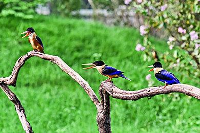 《盗贼之海》6月活跃玩家达480万 8月更新公布