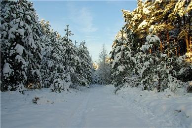 特别好评游戏《伊丽莎》现已添加官方中文