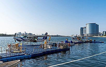 高能电玩节：《东方：平野孤鸿》实机玩法视频曝光